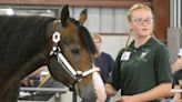 What's happening at the Crawford County Fair: Schedule of events