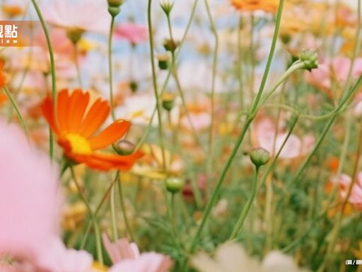 立夏節氣來臨：迎接炎熱夏季，豐富養生知識與開運小秘訣