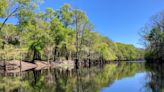 One tank trip: Paddle Georgia 2023 offers relaxing trip through state history