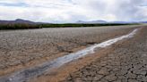 América: un Día de la Tierra marcado, nuevamente, por los efectos de la crisis climática