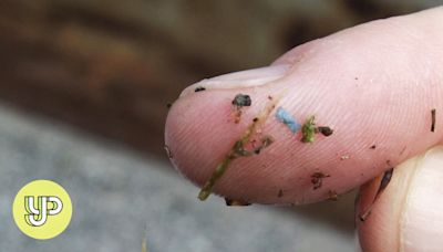 Microplastics are all around us, but how harmful are they?