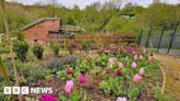 Historic allotments handed back to council amid rising costs