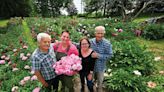 At Nicewicz Farm in Bolton, a love of peonies brings flower fans together