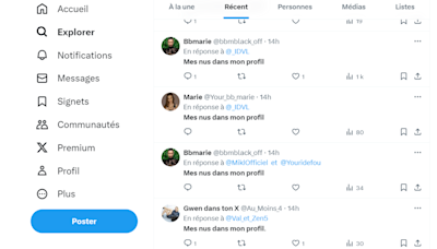 Sur les traces du spam «mes nus dans mon profil»