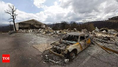 Team combs fire-ravaged New Mexico community for remains of the missing - Times of India