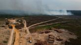 Brazil to allow miles of selective logging in effort to preserve the Amazon