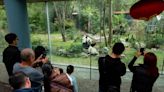 Zoológico de Chapultepec: ícono de CDMX que cumple 101 años