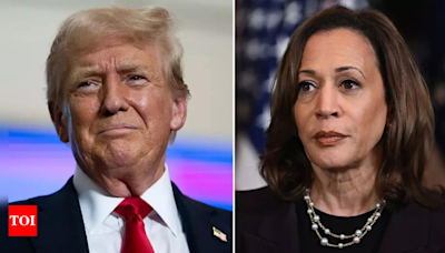 Dark side of the loon: Trump says Kamala was Indian before she 'turned black' - Times of India