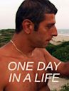 One Day in a Life