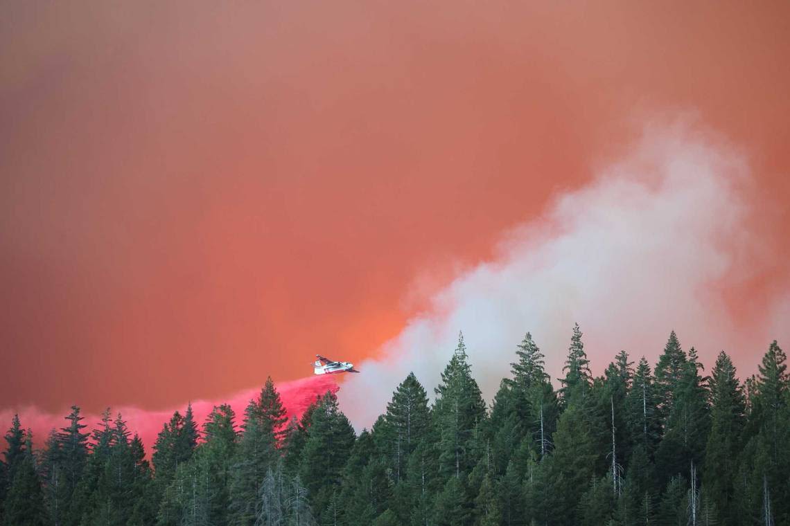 Firefighters in Lassen National Forest hold back Park Fire burning in Northern California