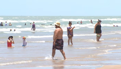 Shark believed to have attacked 4 people in waters off South Padre Island on Fourth of July - KVIA