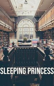 Sleeping Princess (film)