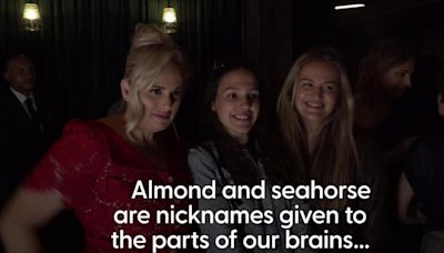 Stars attend the UK premiere of The Almond and the Seahorse