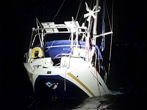 Orcas sink British yacht in Strait of Gibraltar