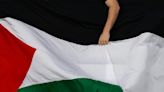 Enorme bandera de Palestina fue desplegada en partido de Libertadores entre Millonarios y Palestino - El Diario NY