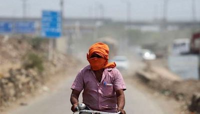 Delhi sees record-breaking heat: Nearly 50°C in Mungeshpur, Narela