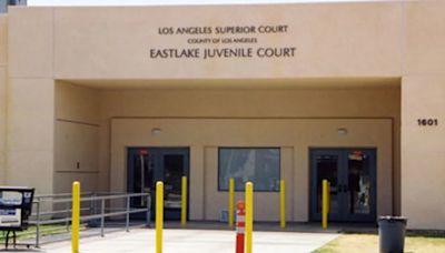 Los Ángeles suspendió a 66 agentes de libertad condicional por sospechas de mala conducta, abusos a menores y fuerza excesiva