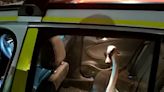 Swan pictured in back of police car after being picked up by officers is released