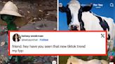 14 Fails From The Internet This Week That Are SO Funny, You'll Definitely Be Sending The Link To This Article To Your...