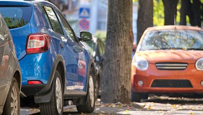 'Neighbour keeps blocking my drive – my revenge will put them out of business