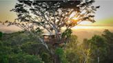 La casa del árbol más alta de la Amazonia, donde se enseña a los peruanos a combatir la deforestación con tecnología