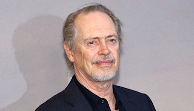Steve Buscemi punched while walking street in New York