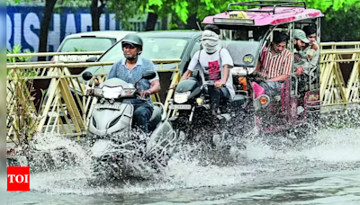 Key paddy-growing areas of Punjab, Haryana receive deficient southwest monsoon rainfall | Chandigarh News - Times of India