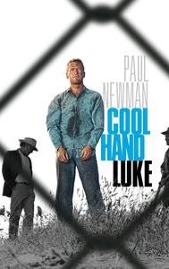 Cool Hand Luke