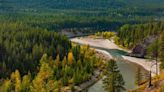 A 72-year-old was alone picking huckleberries in a Montana forest. Then, a grizzly bear attacked him