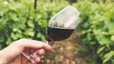 El INV determinó el grado alcohólico mínimo de los vinos genéricos cosecha 2024 | Economía