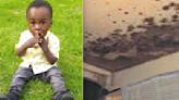 Shocking photos inside mould-covered home where boy, 2, died with breathing difficulties