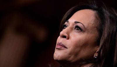 Kamala Harris is the ‘perfect’ candidate to beat Trump, presidential historian says
