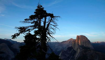 He saw his daughter fall from Half Dome. He says safety changes could prevent more tragedies