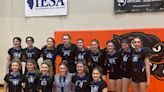 Here are the 4 Peoria-area volleyball teams to win IESA state championship in 2023