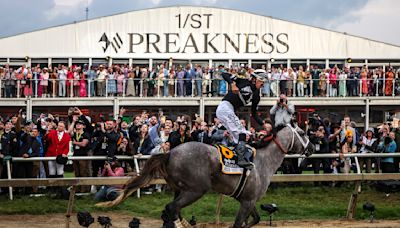 Preakness 2024: Seize the Grey goes wire-to-wire, outruns Mystik Dan in 149th running
