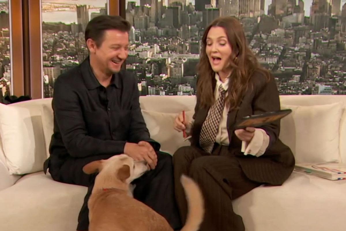Drew Barrymore's dog gets "turned on" by Jeremy Renner in "super awkward" 'Drew Barrymore Show' moment