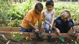Chelsea Flower Show 2024: Children plot garden takeover