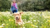 My dog embarrassed me with her terrible off-leash behavior — here’s how I fixed it