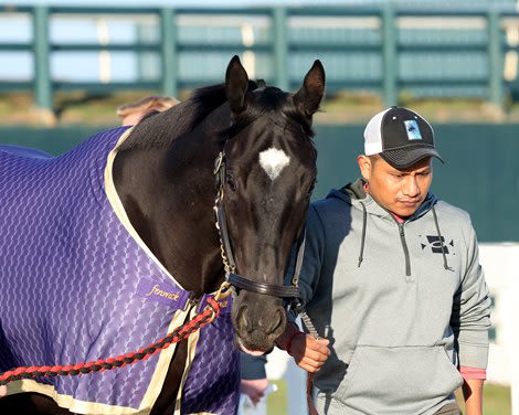 Tyler's Tribe, Collins Confirmed Dead by Oaklawn Park