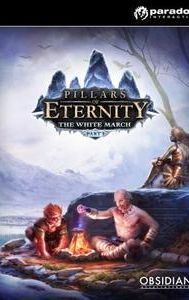 Pillars of Eternity: The White March