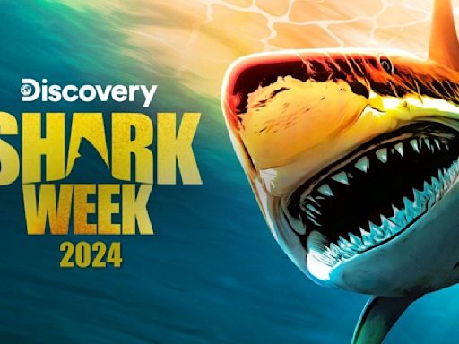 Shark Week Starts Sunday! Here's When All The Shows Will Air