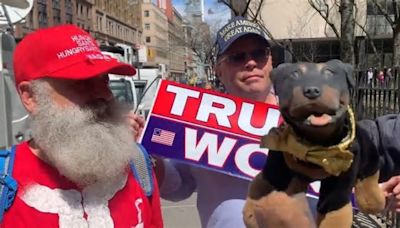 Triumph the Insult Comic Dog Roasts Trump Supporters, Asks Which Crimes of His They Will 'Ignore'