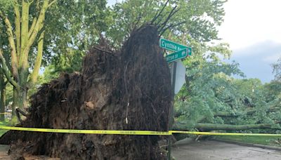 Storm hits southeast Michigan: Flooding, excessive winds and hail