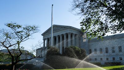 Louisiana voters ask Supreme Court to change congressional map - Roll Call