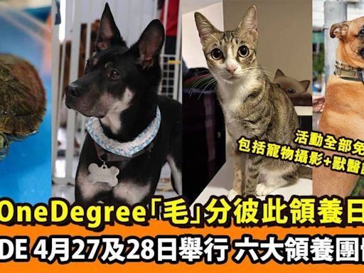 OneDegree舉辦全港首個大型跨動物品種、跨領養機構大型領養活動 4月27及28日去Airside搵新家人 兼帶毛孩一齊玩免費活動！