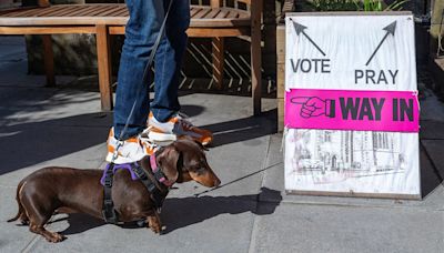 Labour on way to triumph but polling pooches steal the show!