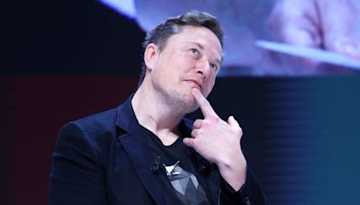 'TRAITORS': Musk calls for ultimate penalty for those opposed to requiring voters to prove citizenship