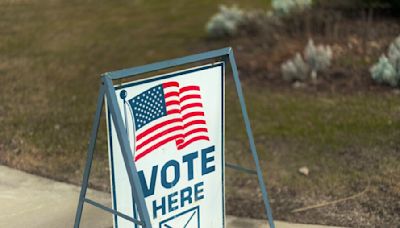 Early voting in the Michigan primary is underway, about 700K have cast ballots