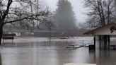 Heavy flooding sends fallen tree floating through Washington park