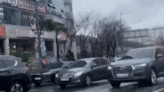 Avestruz é visto correndo por ruas de cidade na Coreia do Sul; assista
